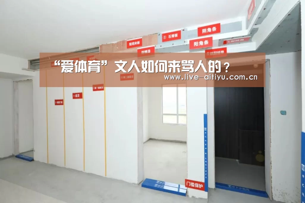 “爱体育”文人如何来骂人的?(图3) 爱体育